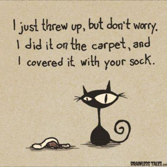 Just for Fun - Picture 6 of 16